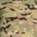 Camuflado Multicam